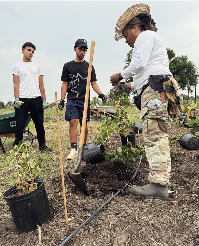 Peace Farm Volunteering